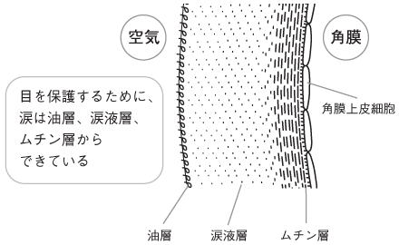 目を保護するために、涙は油層、涙液層、ムチン層からできている